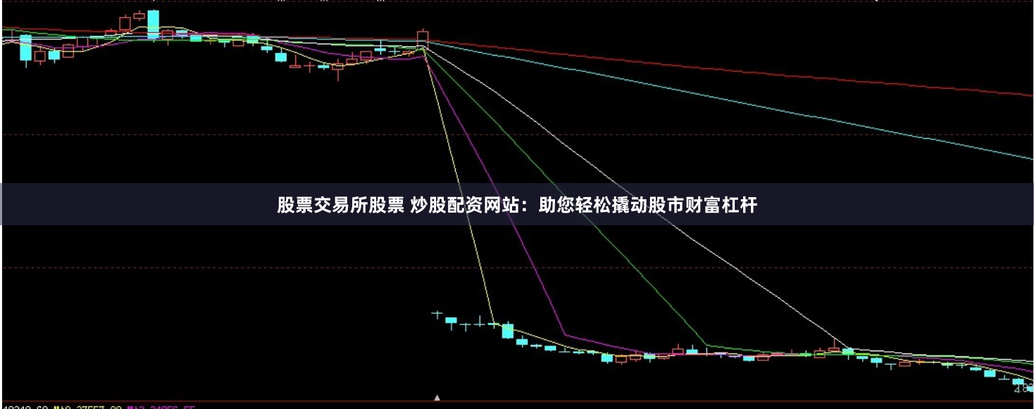 股票交易所股票 炒股配资网站：助您轻松撬动股市财富杠杆